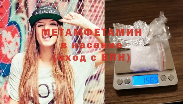 сатива Липки