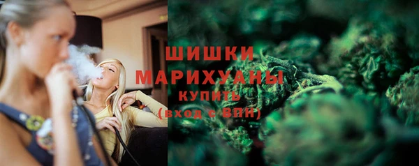 гашик Майский