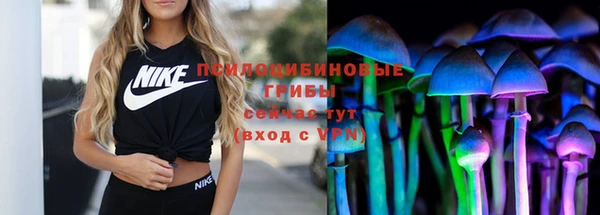 гашик Майский