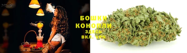 спиды Медвежьегорск