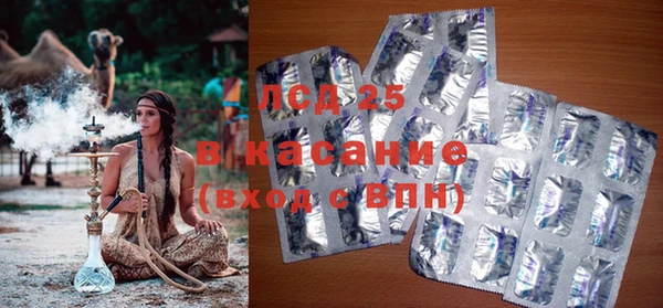 гашик Майский