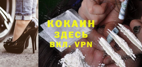 гашик Майский