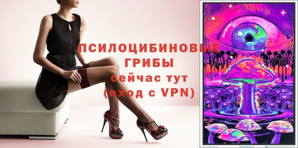 гашик Майский