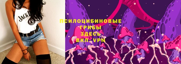 гашик Майский