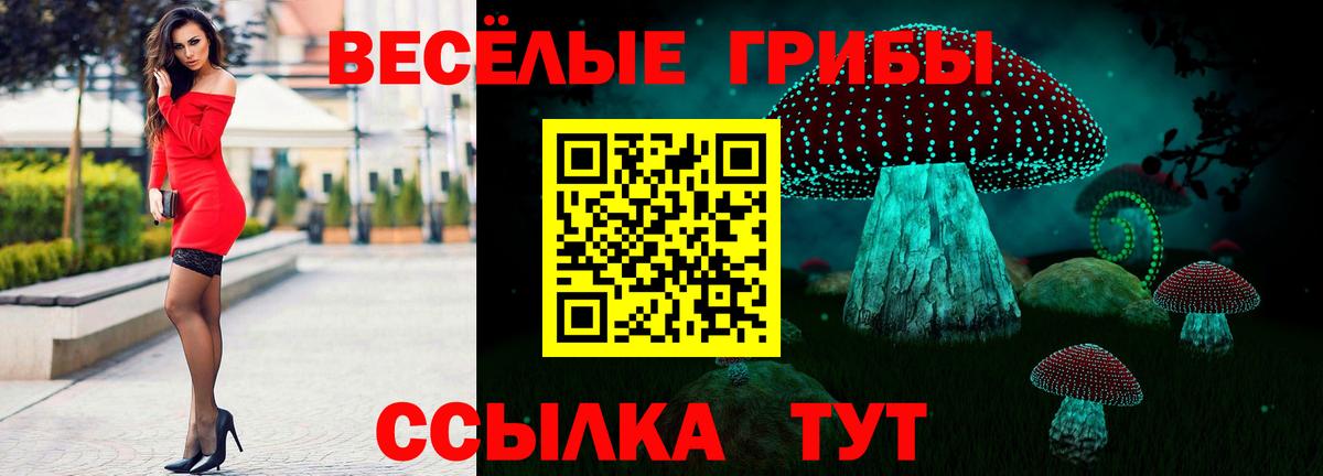 Галлюциногенные грибы мицелий Луховицы